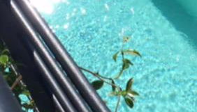 DEPENDANCE LAZISE LAGO DI GARDA - Foto 1