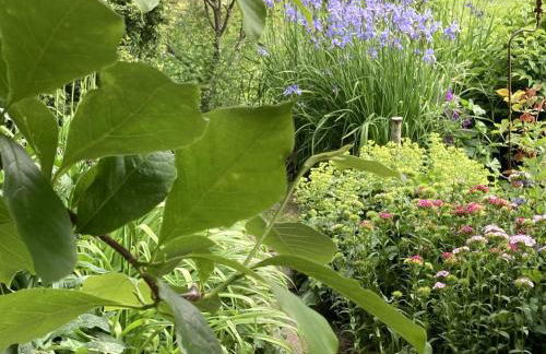 Haus am See - Foto 25