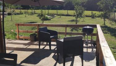 Au chant des oiseaux - rouge gorge - Foto 2