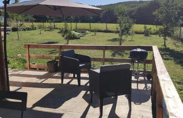 Au chant des oiseaux - rouge gorge - Foto 13