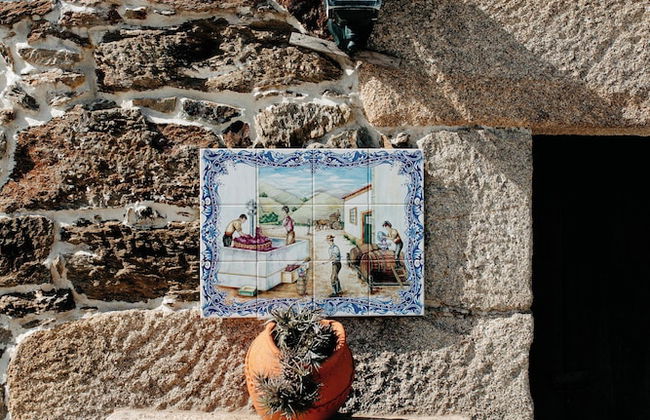 Casa Videira Turismo Rural - Foto 54