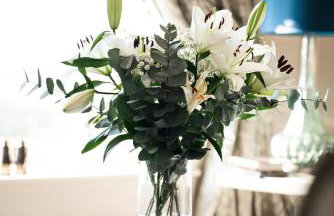 Simmy View 5 Star - Foto 4