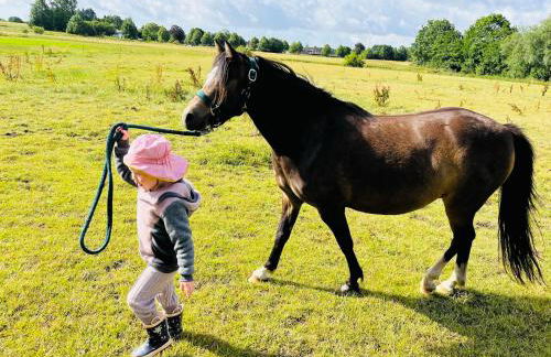 Reihenhaus Geltinger Bucht - Foto 10