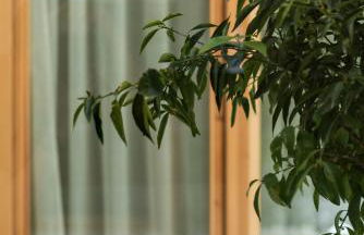 Apartamentos Maestro Sosa - Foto 44