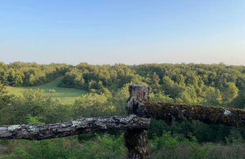 Le Mas d'Angèle - Foto 26