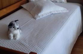 O Cantinho das Lages - Foto 25