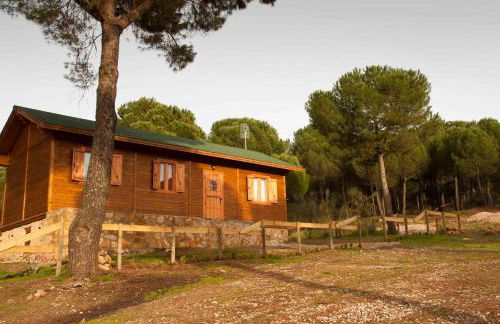 Apartamentos Paraje San Gines - Foto 15