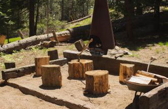 Redwood Grove in Sequoia and Kings Canyon National Park - Foto 30