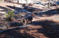 Casa Azul Mountain Retreat - Foto 14