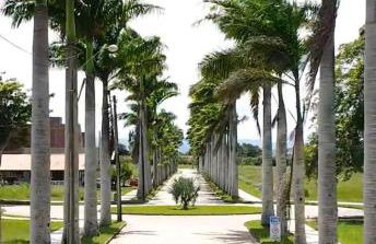 Casa de Campo Morada Nova - Photo 32