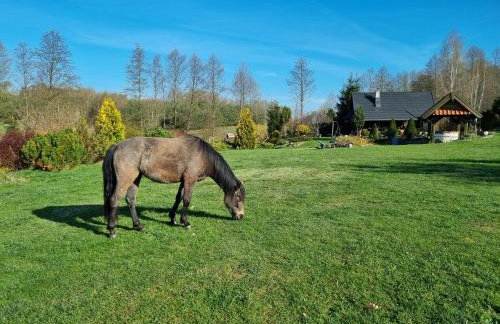 Wiejska Chata - Foto 30