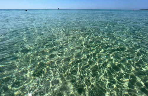 Casa Mediterranea Jacuzzi vista Mare Torre Guaceto Ostuni - Foto 20