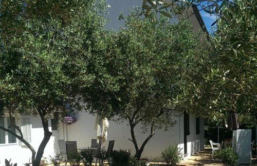 Apartments with garden - Foto 1