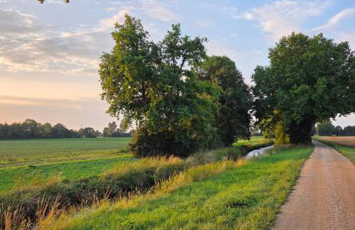 2- Zimmer-Wohnung, Nähe Phantasialand, Palmenparadies, Köln, Bonn - Foto 16