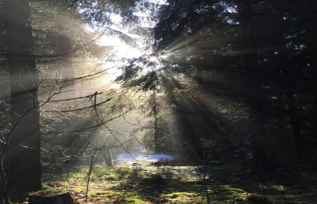 Holiday Home in Wolfsberg by River - Foto 37