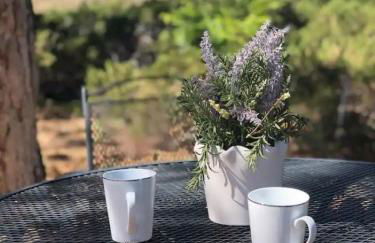 Unique Home 40 acres Peaceful Near Boulder 2 Dogs OK - Foto 5