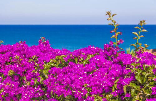 Villa Lucrezia - San Lorenzo al Mare - Photo 15