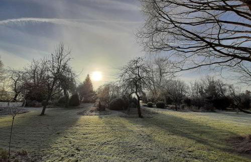 Ferienwohnungen Stellerbruch - Foto 8