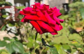 Casa Myrina - Photo 44