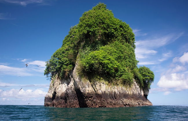 Casa Cielito - Photo 44