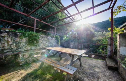 Apartments Leo Katić - Foto 7