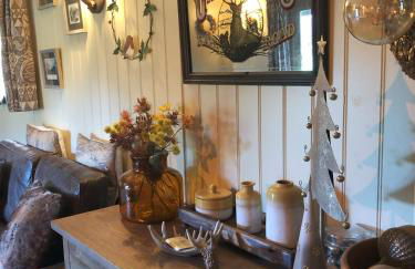 Cabin in the hills near Dolgellau - Foto 7