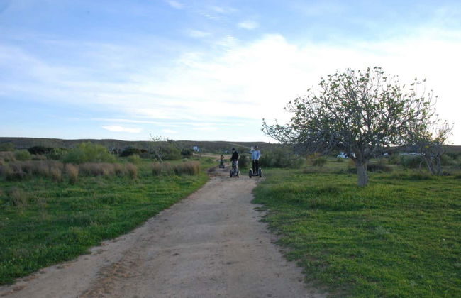Albufeira Segway Tour - Photo 6