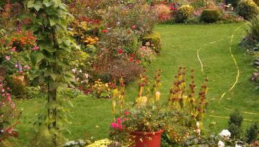 Haus mit Aussicht - Foto 3