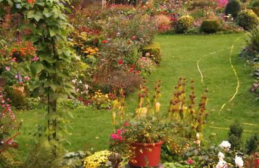 Haus mit Aussicht - Foto 3