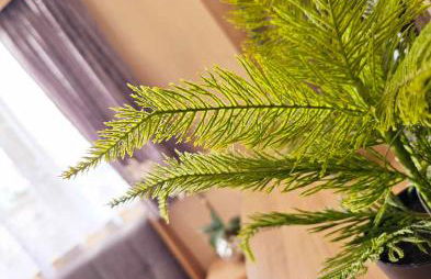 8 Berth Static Caravan - Foto 9