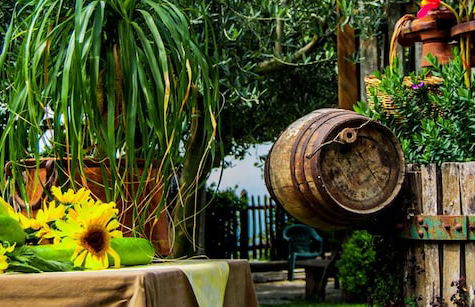 Agriturismo Mare e Monti - Foto 52