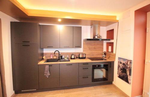 Luxury Studio, Rez de chaussée, Parking privé vidéo surveillance, Canapé haute qualité convertible couchage 2 personnes, Centre Ville proche, Restaurant, boulangerie 2 minutes à pied, Terrasse - 800mètre carré de terrain - Géré par Presta-Zen'Services - Foto 11