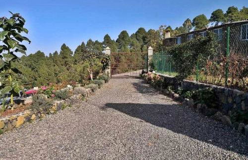 Finca los tamarillos - Foto 13