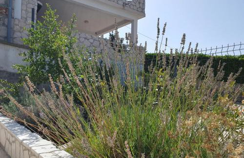 Villa Pearl of Kali, island Ugljan - first row to the sea - Foto 54