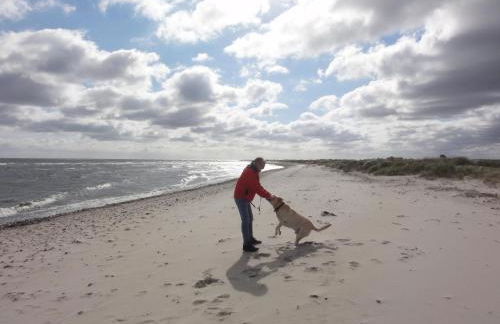 Ferienwohnung Bambuswald Ferienhof Geltinger Bucht - Foto 32