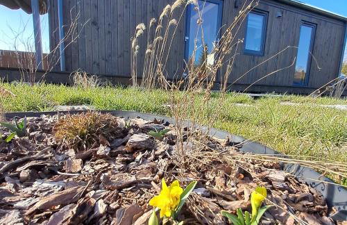 Brzozowe Ostrowie - Foto 7