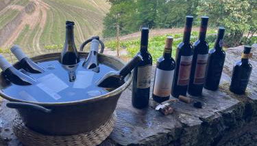 Quinta de Santa Júlia - Photo 4