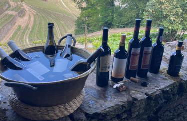 Quinta de Santa Júlia - Foto 4