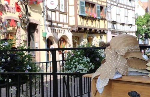 Appartement spacieux à Colmar avec terrasse, garage privatif, proche centre et gare - FR-1-722-2 - Foto 16