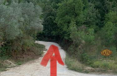 Locazione Cinque Cerri Bettona - Photo 23