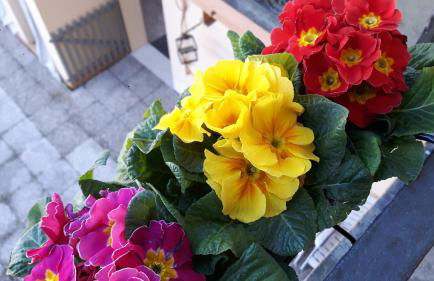 AT HOME IN CREMONA - Foto 29