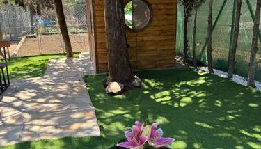 La cabaña de Paredes - Foto 5