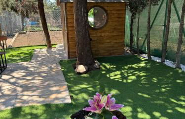 La cabaña de Paredes - Photo 5