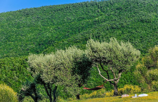 Col Di Luce 8 Emma Villas - Foto 27