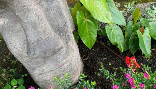 Hau'oli Place Tiki Cottage in Volcano - Foto 4