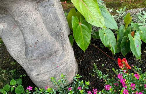 Hau'oli Place Tiki Cottage in Volcano - Foto 4