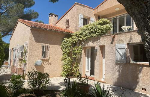 Les cigales - Foto 2