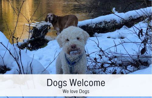 Familien- & Hundeparadies & Kamin - Foto 21