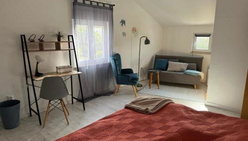 Octopus Space - Foto 2