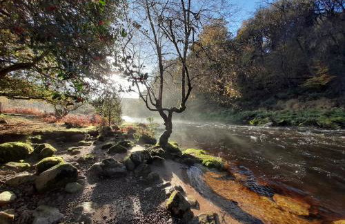 Yar Tor Apartment - Foto 31